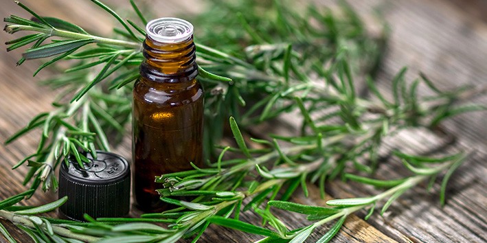 Alecrim oleo essencial aromaterapia beneficios
